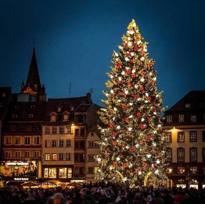 Gites Spa Strasbourg - La Villa 14 Furdenheim المظهر الخارجي الصورة